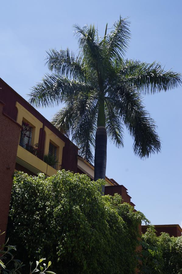 Suites Parador Santo Domingo De G. Oaxaca Exterior photo